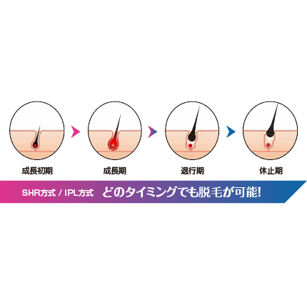 最短3か月のスピード脱毛